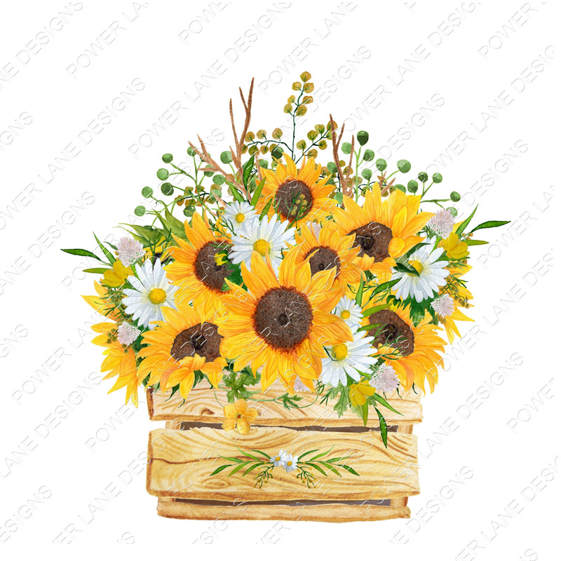 Watercolor – Sunflowers – Daisies - Daisy - Crate - Country - Farmhouse - Fall -  Personalize - PNG - Digital Download - Sublimation