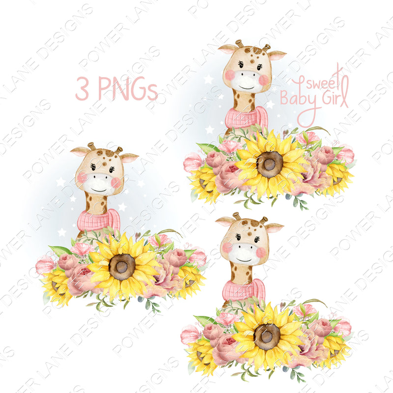 Adorable Giraffe - Baby Girl - Nursery - Baby's First Christmas - Blanket - Pink Roses Sunflowers PNG, Digital Download, Sublimation Design